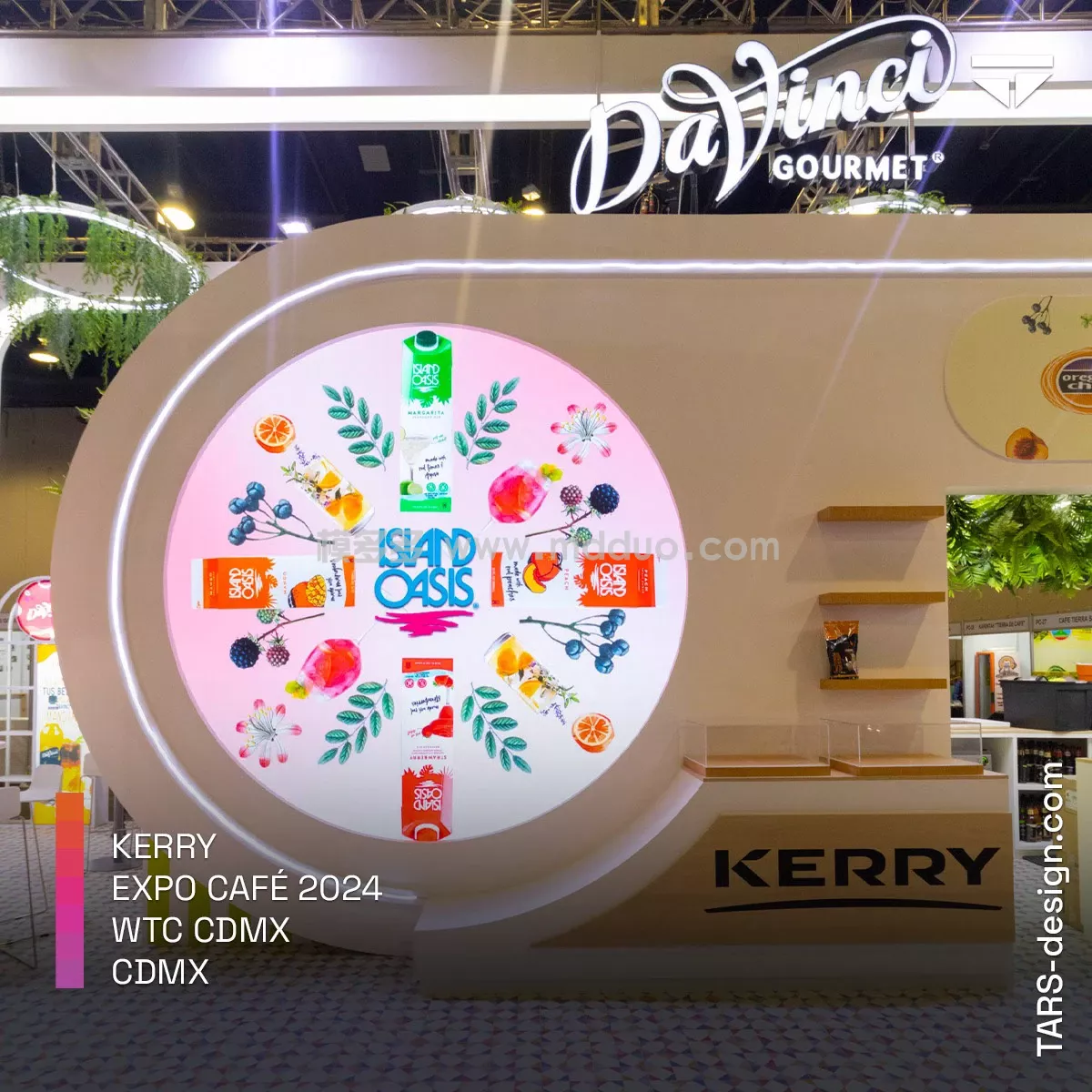 DaVinci Gourmet (KERRY)(图14)