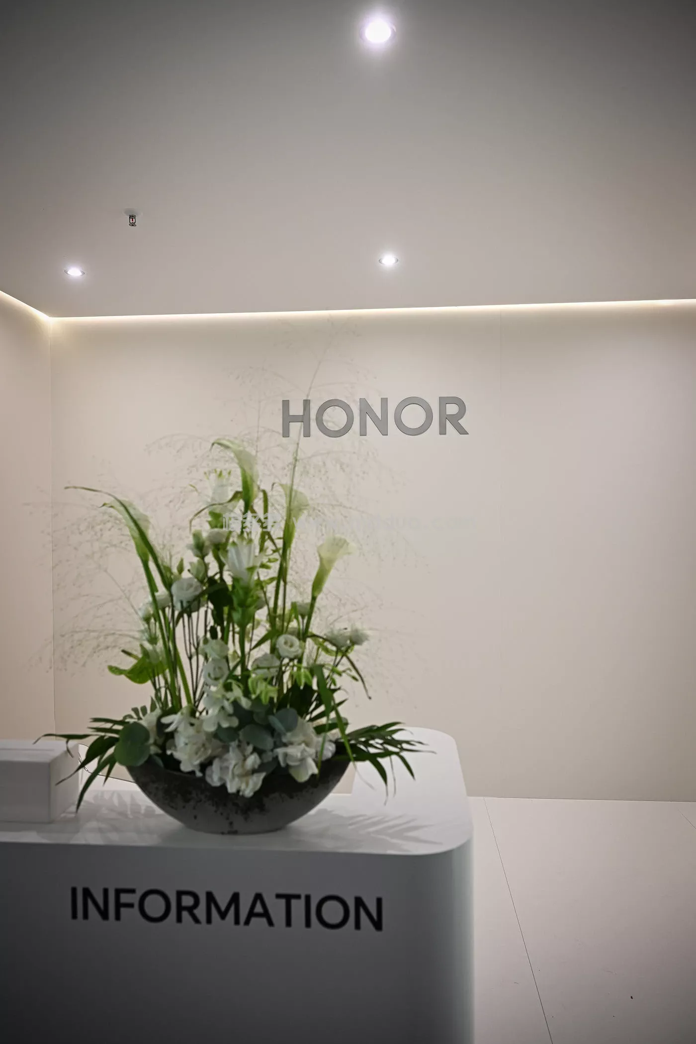 HONOR IFA(图12)